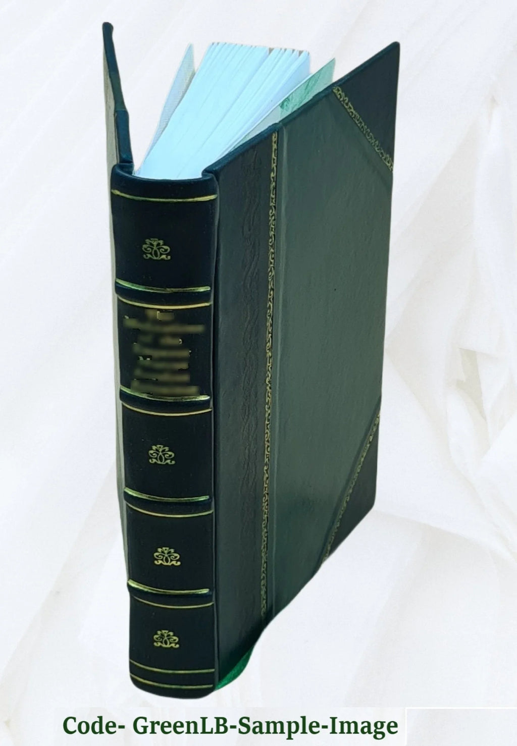Leather Bound Book P99852