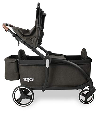 Luxury Stroller Wagon for 2 with Removable Canopy V79771