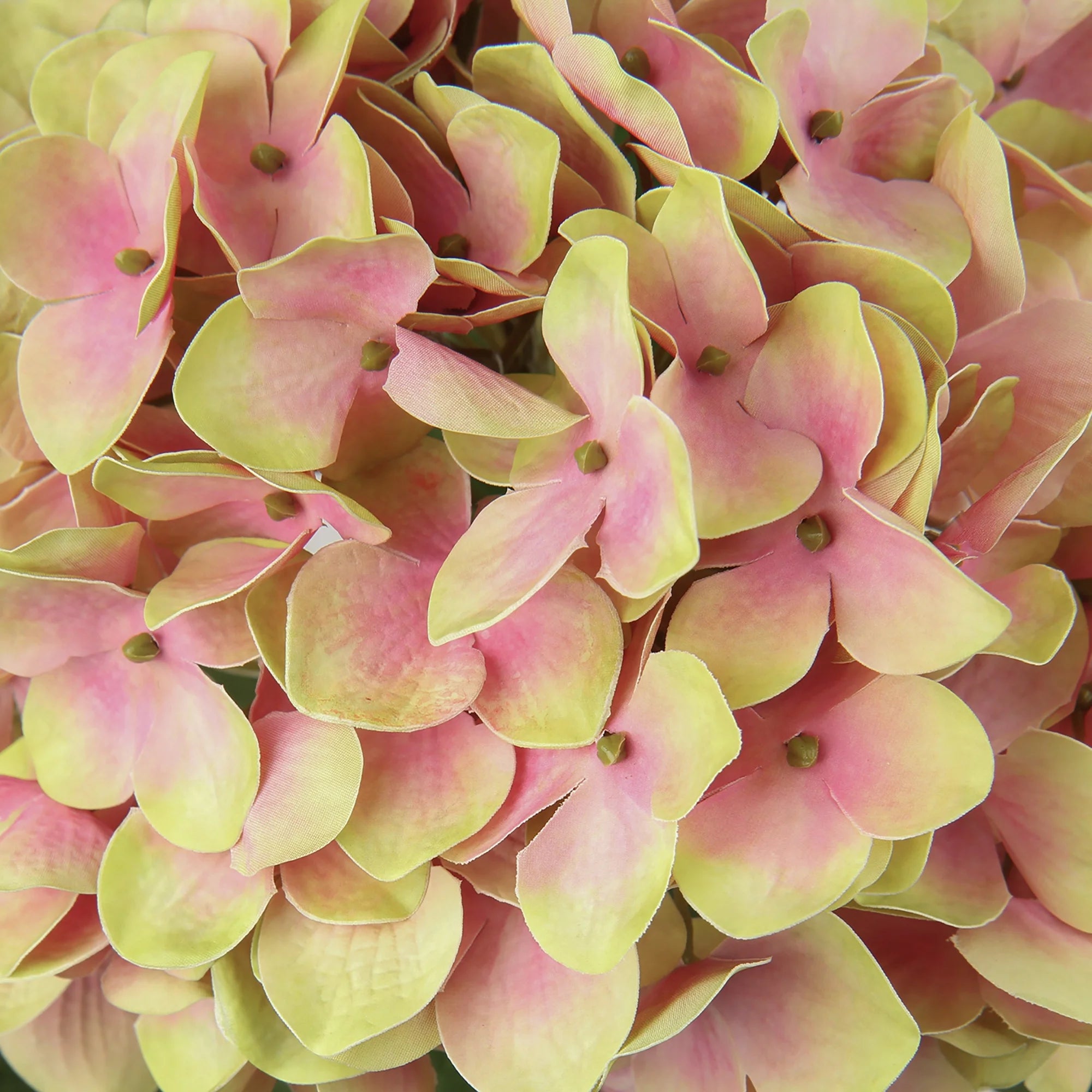 24.8 Inch Artificial Hydrangea Silk Flowers Stems Yellow Pink Z7192