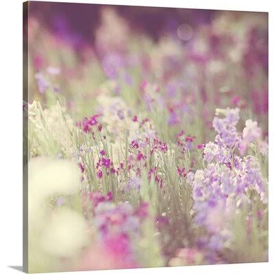 Canvas Photographic Print G982