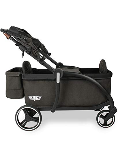 Luxury Stroller Wagon for 2 with Removable Canopy V79771
